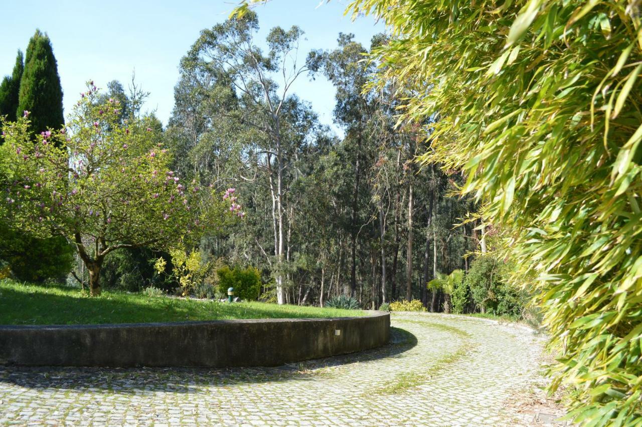 Bamboo Guest House Águeda Zewnętrze zdjęcie
